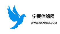 寧夏信鴿網(wǎng)